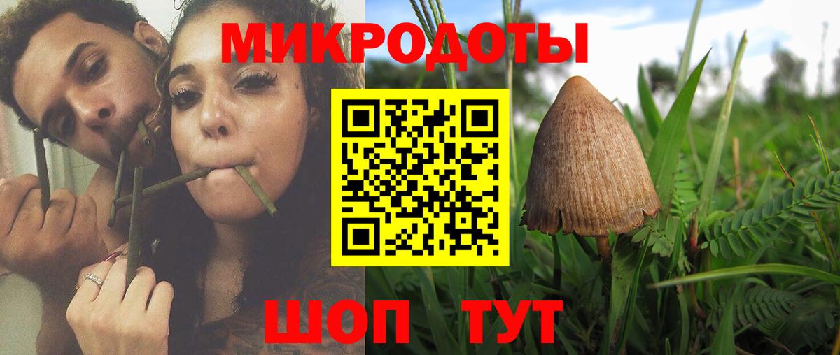 купить закладку  Псилоцибиновые грибы ЛСД  Галлюциногенные грибы Magic Shrooms  Вход с VPN  Ростов-на-Дону 